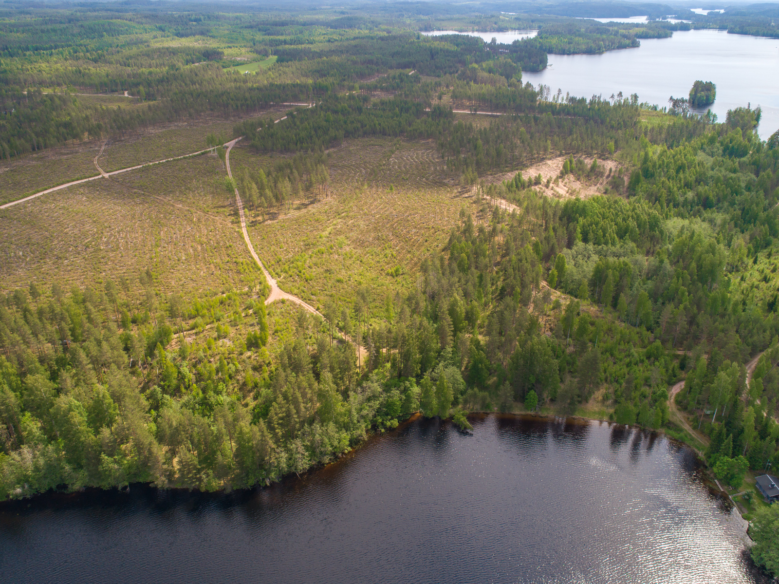 Vesialueiden välissä on metsäinen kaistale, jolla kulkee teitä hakkuaukeiden läpi. Ilmakuva.