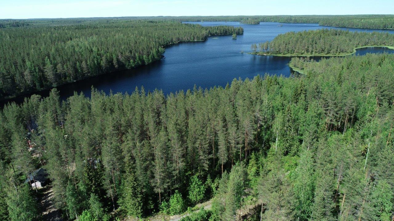 Pitkulainen järvi jatkuu horisonttiin. Rannalla on mökki ja metsä ympäröi järveä. Ilmakuva.