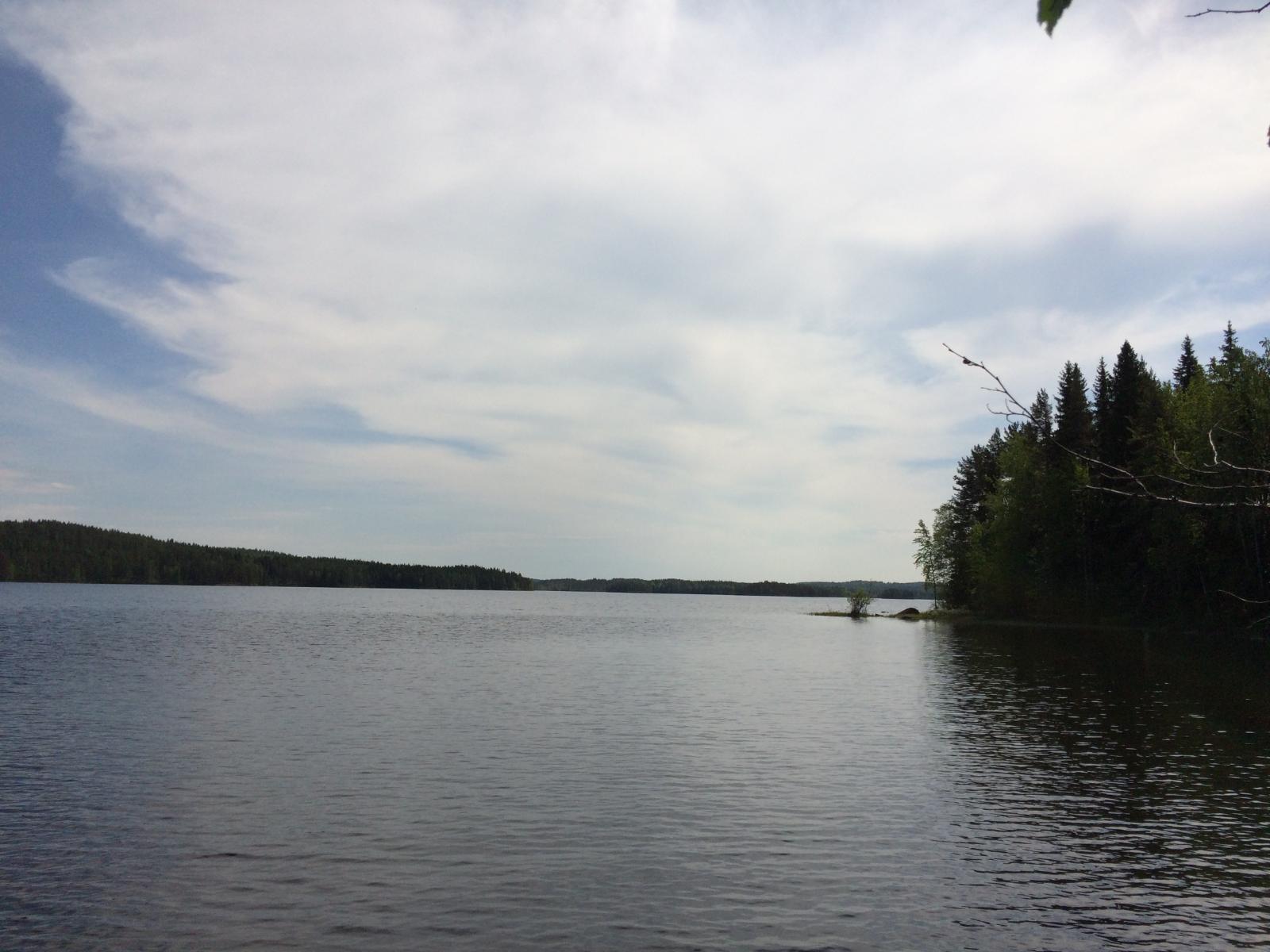 Kesäisessä järvimaisemassa oikealla metsäinen niemi kurottaa kohti järvenselkää.