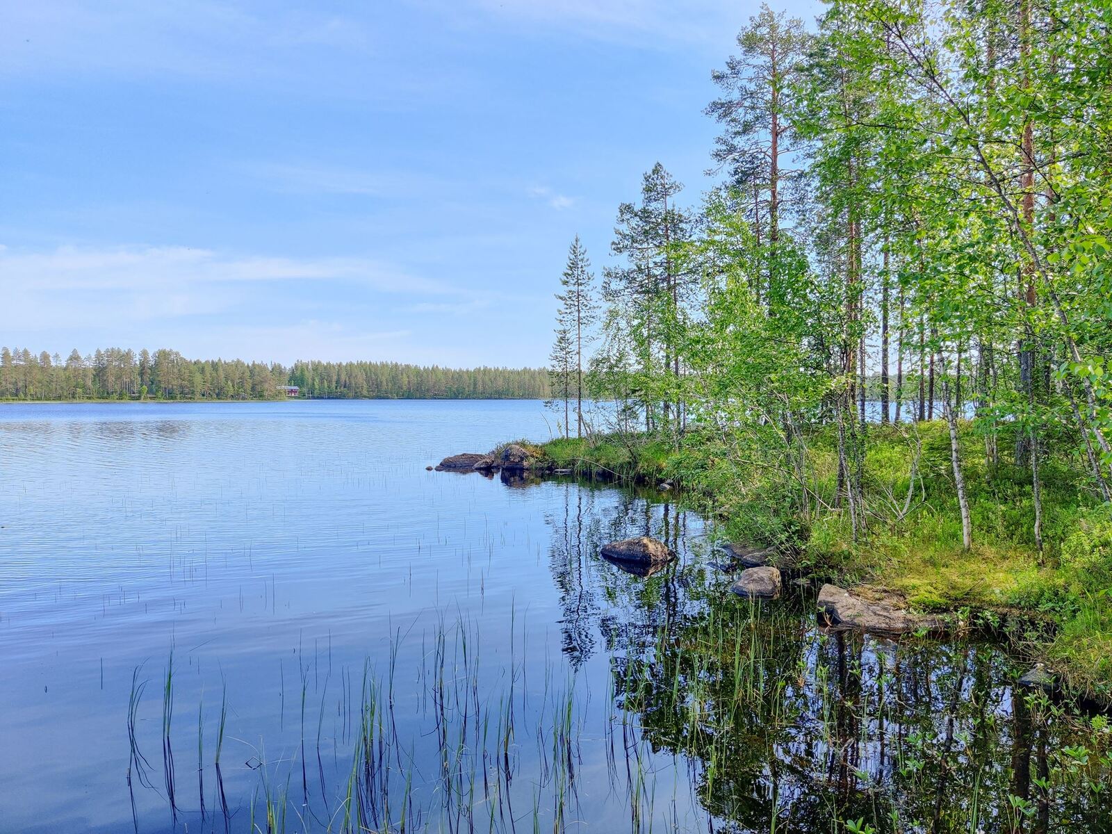 Oikealla niemessä kasvavat kesäiset puut heijastuvat veteen kesäisessä järvimaisemassa.