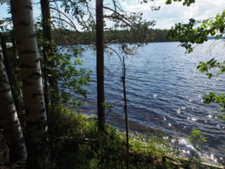 Rannassa kasvavat puut reunustavat kesäistä järvimaisemaa. Vesi kimmeltää auringonvalossa.