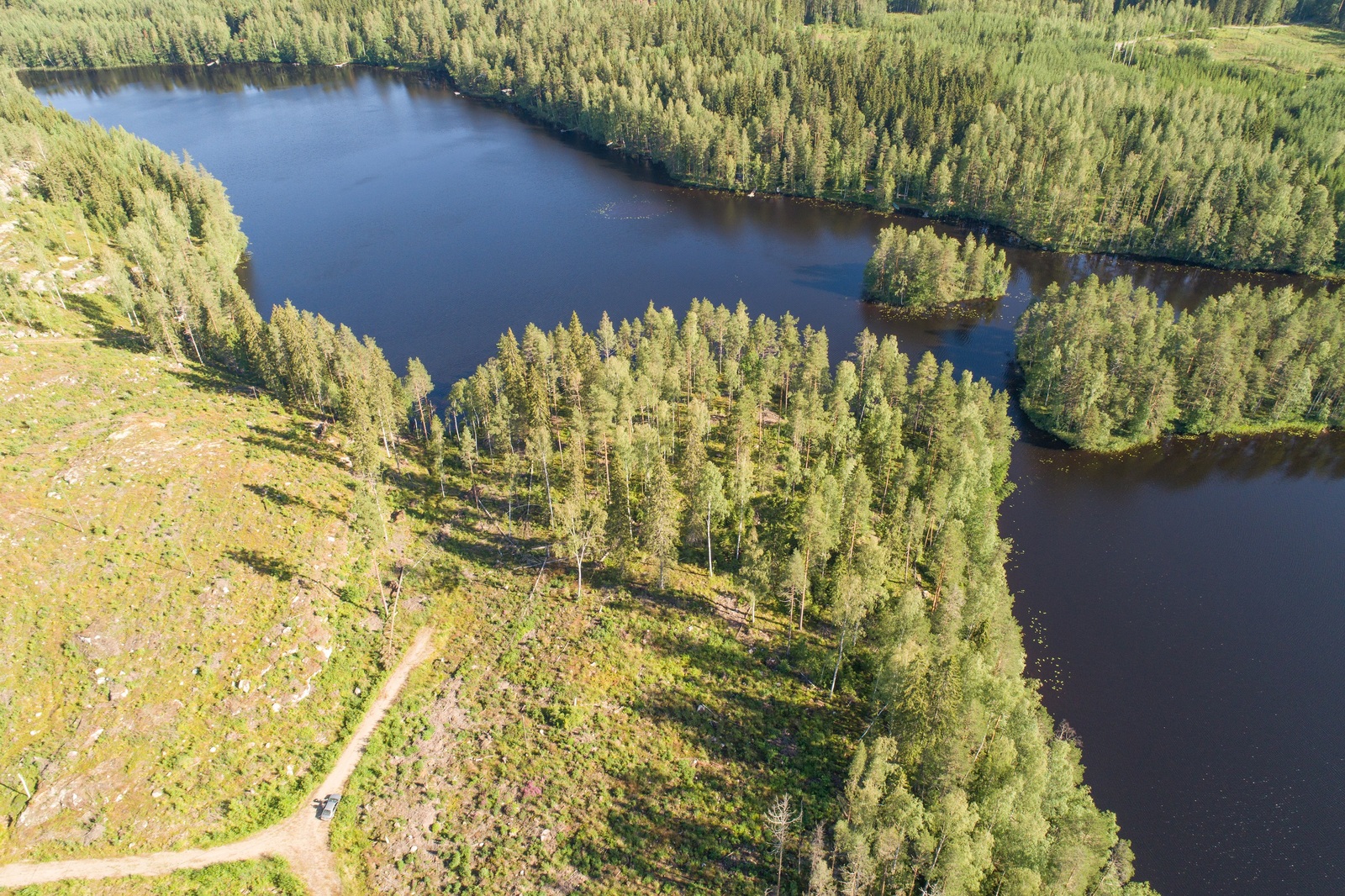 Kesämaisemassa metsä reunustaa pitkulaista järveä, jossa on kaksi saarta. Ilmakuva.