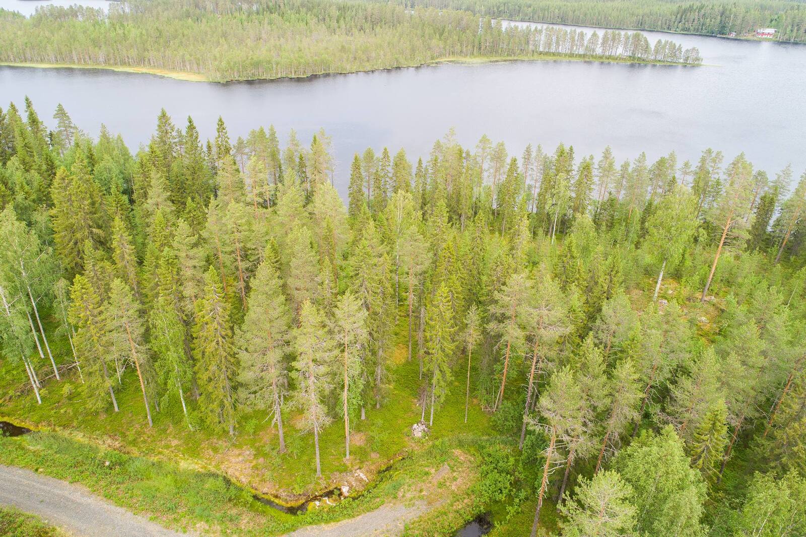 Tie kulkee kesäisessä metsässä, jonka takana avautuu järvimaisema. Ilmakuva.