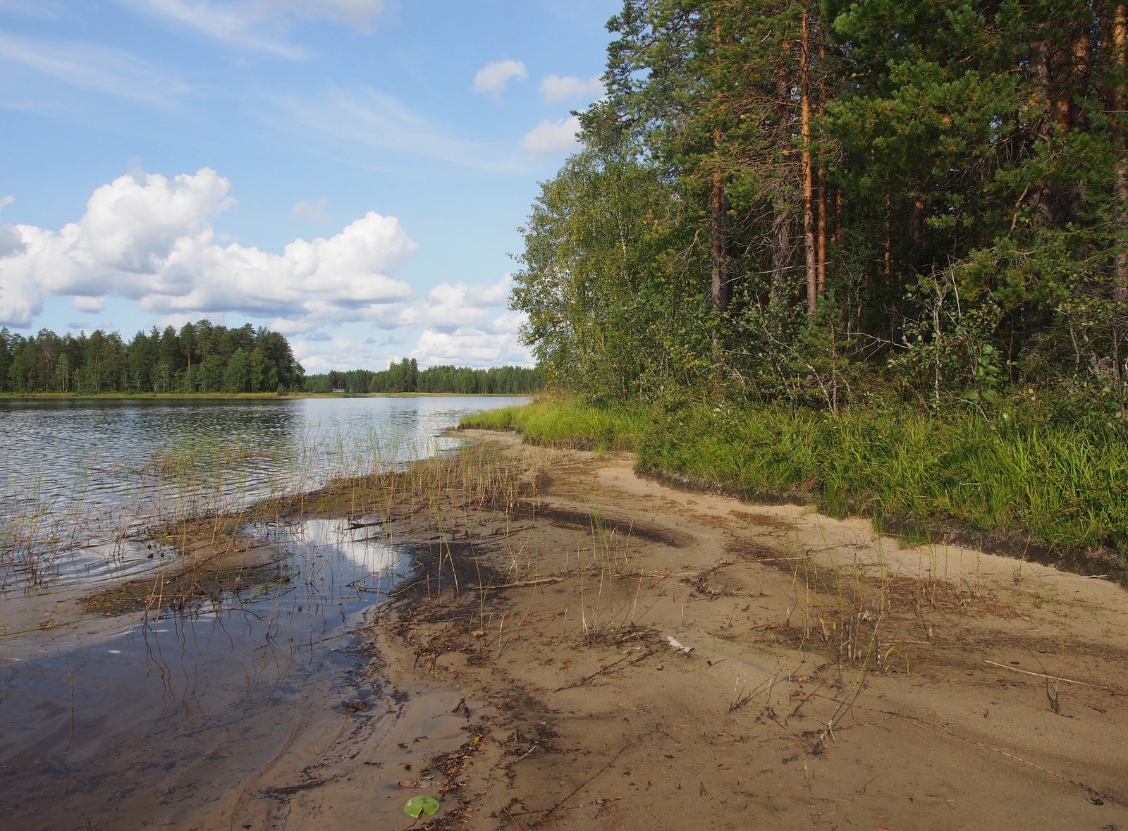 Kesämaisemassa sekametsä reunustaa hiekkarantaista järveä. Taivaalla on poutapilviä.