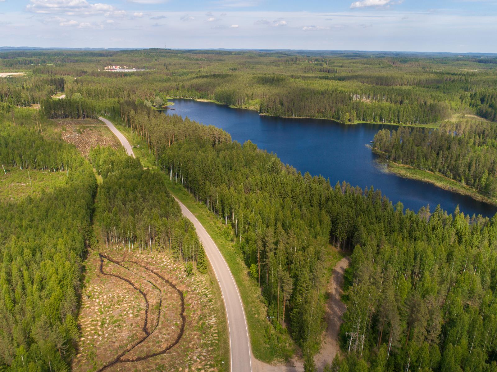 Järveä reunustavat kesäiset metsät jatkuvat horisonttiin. Järven tuntumassa kulkee tie. Ilmakuva.