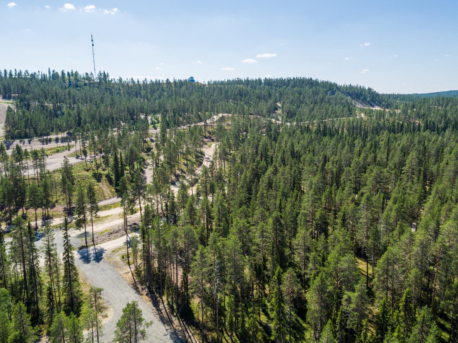 Ilmakuvassa tie-ja polku-uria risteilee havupuuvaltaisessa metsässä. Taustalla kohoaa puhelinmasto.