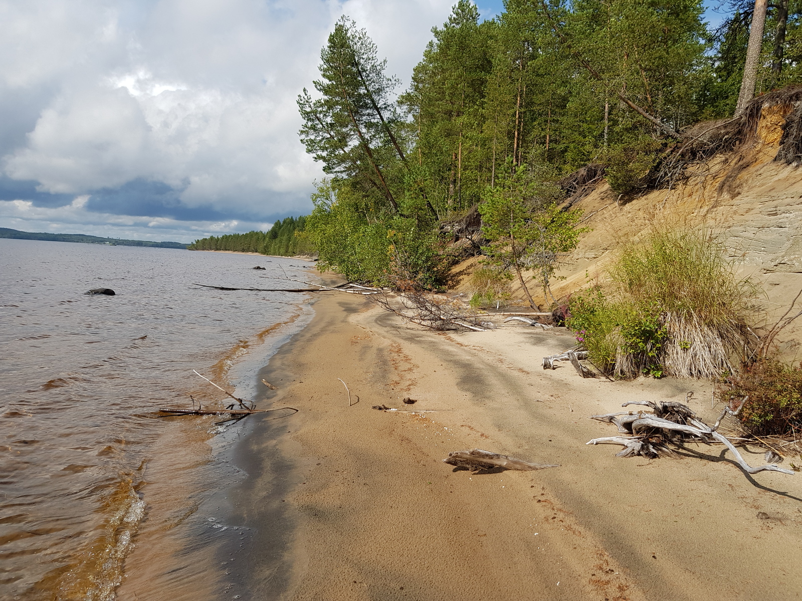 Kesäisessä järvimaisemassa hiekkarantaa reunustaa rantatörmällä kasvava mäntymetsä.