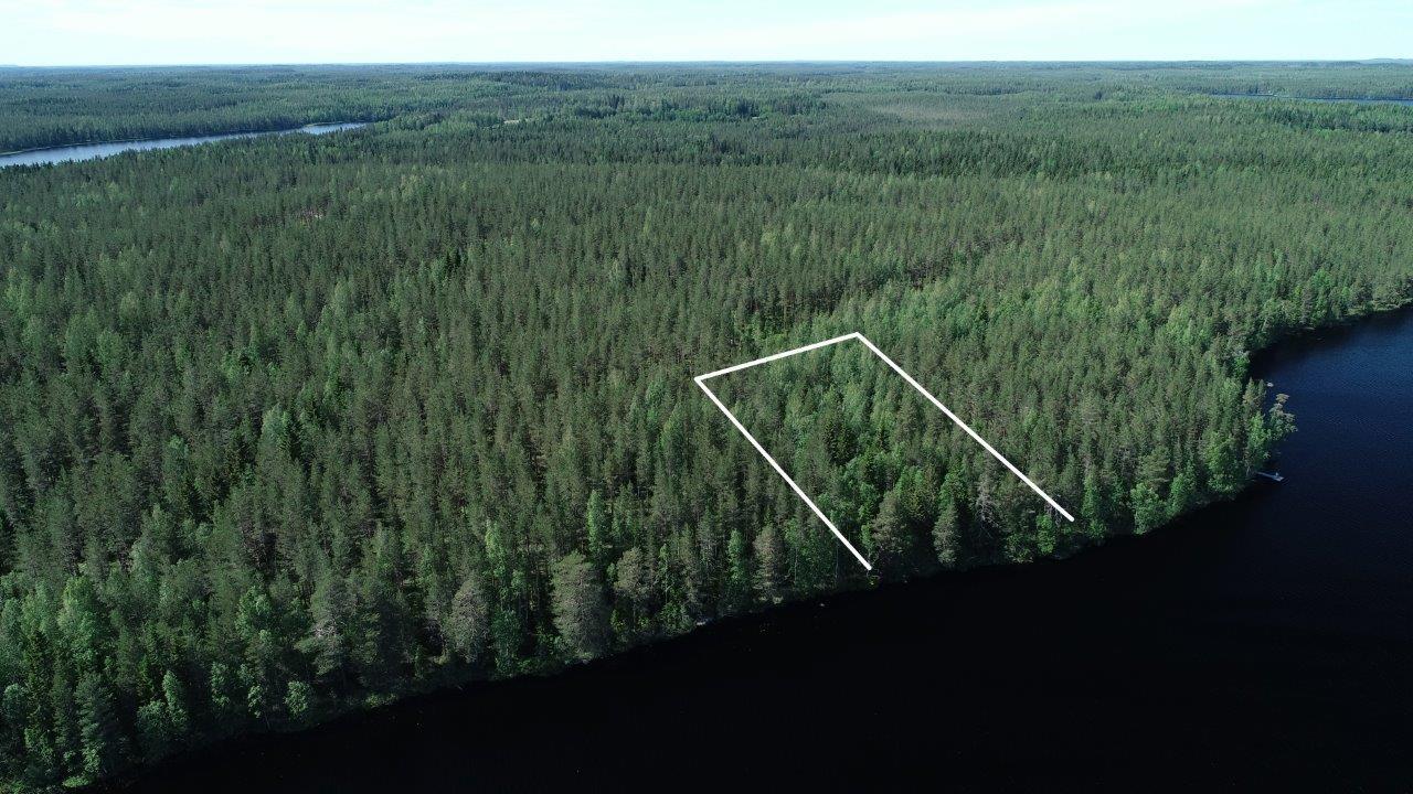 Tontin kaava piirrettynä kesäisen metsän ylle järven rantaan. Metsä jatkuu horisonttiin. Ilmakuva.