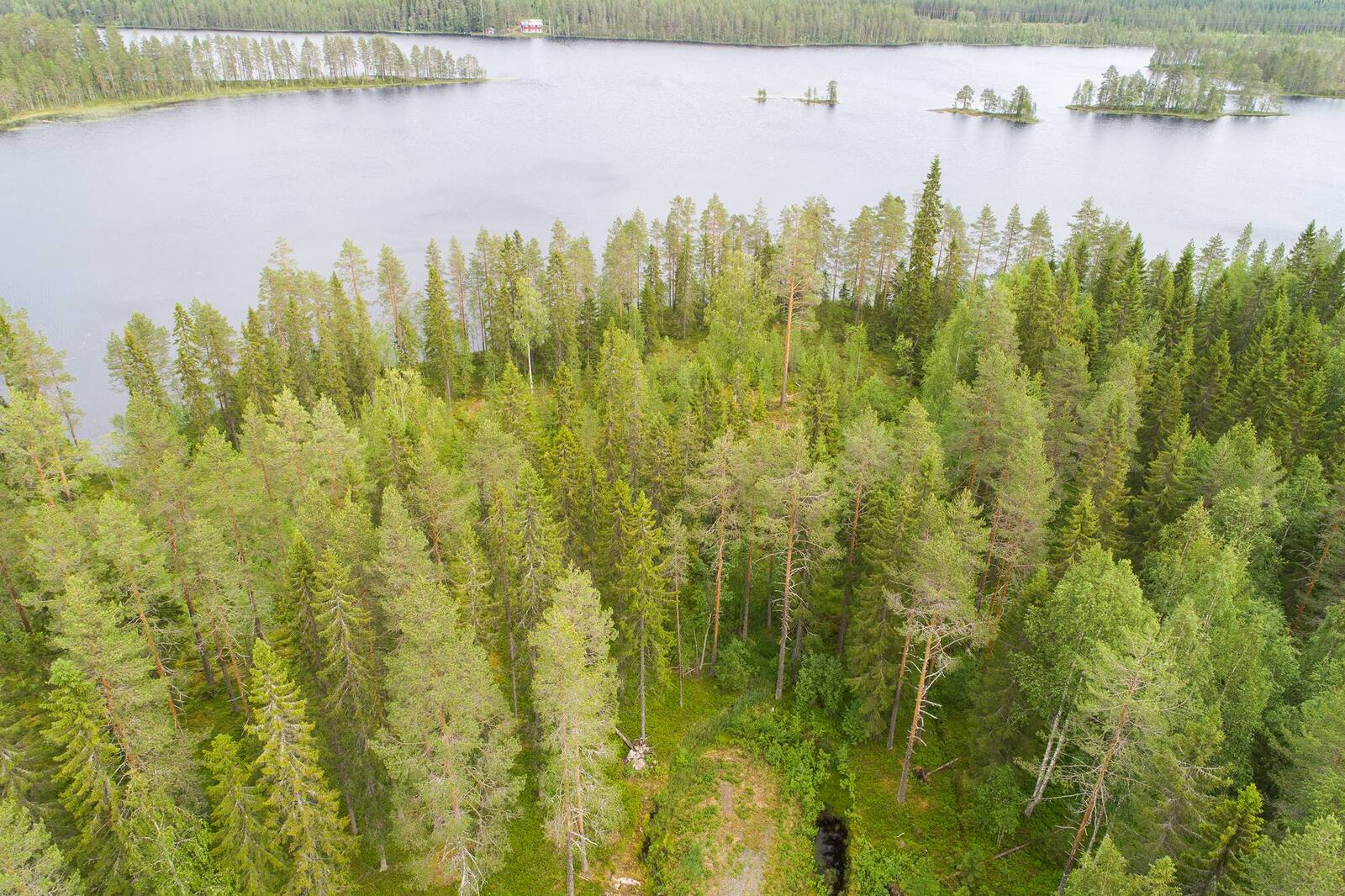 Kesäisen sekametsän takana avautuu järvimaisema. Järvessä on kapeita saaria. Ilmakuva.