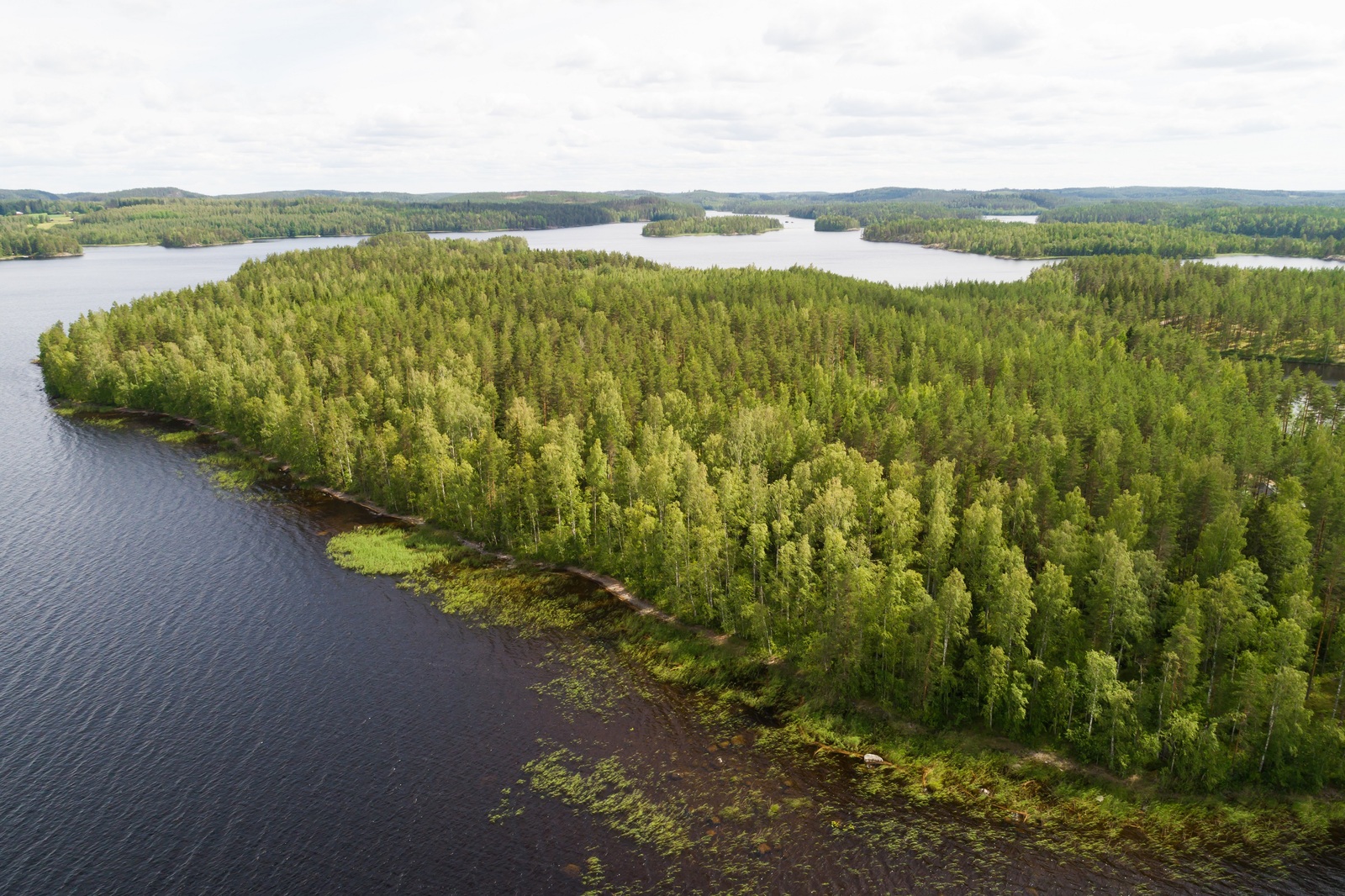 Kesämaisemassa on laaja metsäinen niemi sokkeloisen järven keskellä. Ilmakuva.