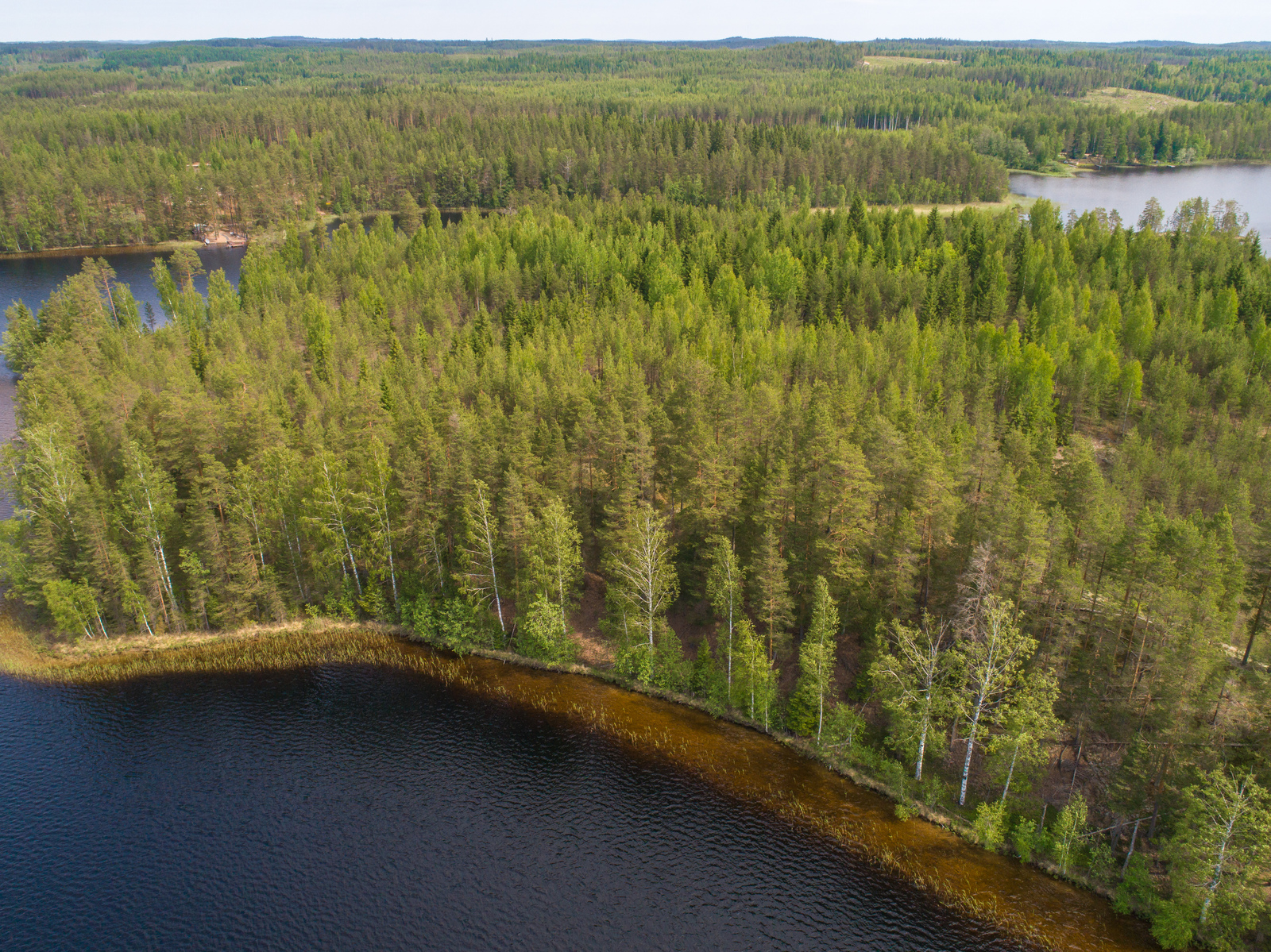 Kesäiset sekametsät reunustavat saaren ja järven rantoja. Ilmakuva.