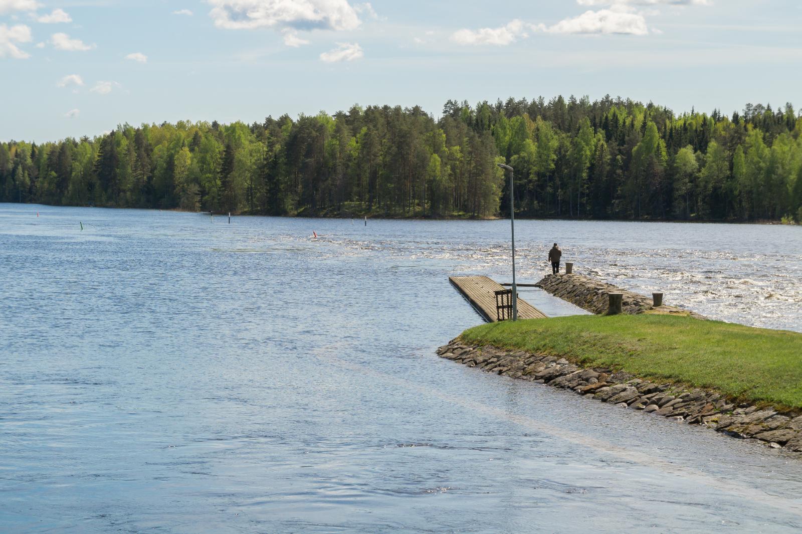 Kalastaja seisoo kosken ja kanavan välisellä maakaistaleella. Vastarannalla on kesäinen sekametsä.
