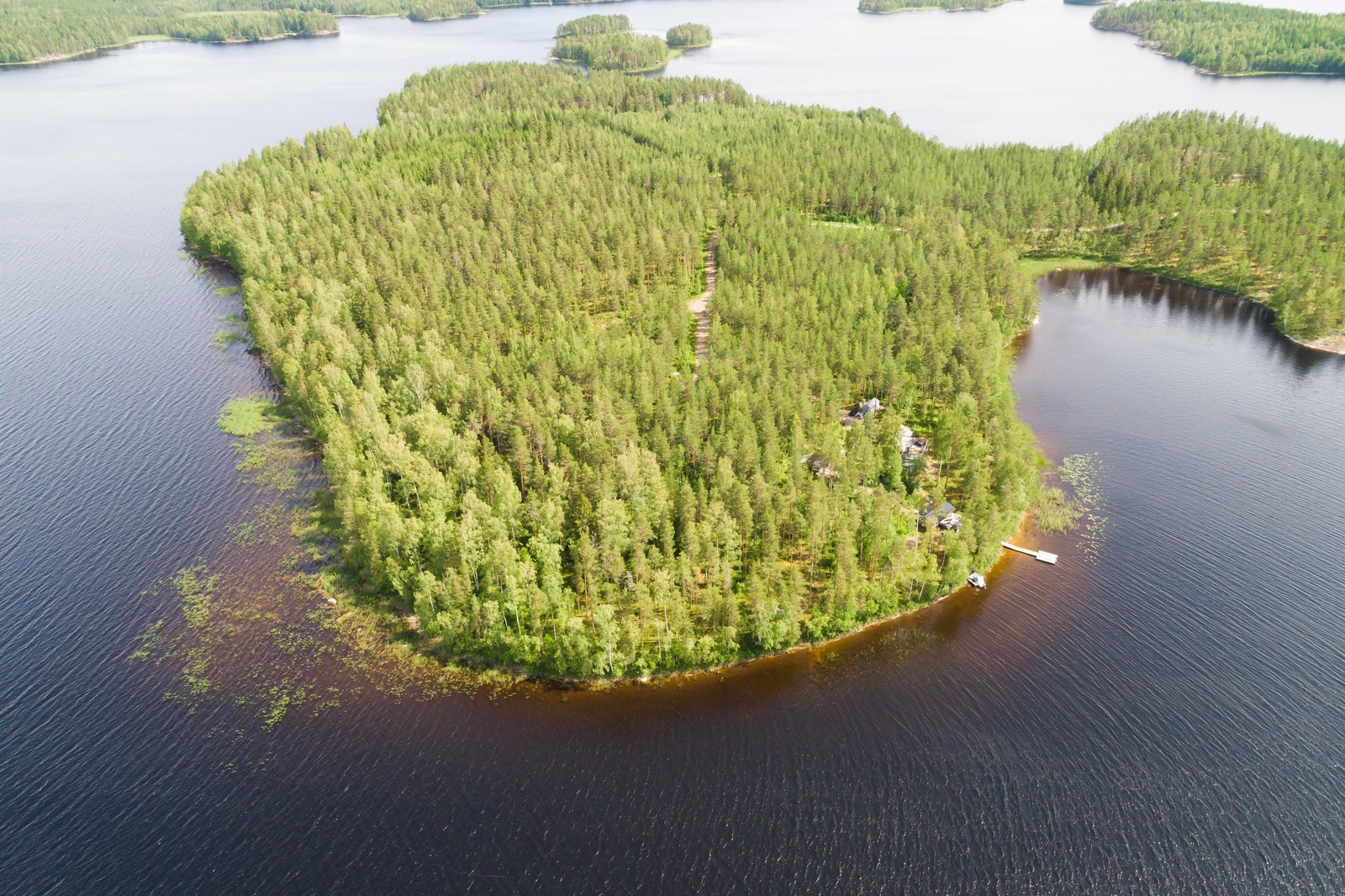 Kesämaisemassa on laaja metsäinen niemi sokkeloisen järven keskellä. Niemessä on mökkejä. Ilmakuva.