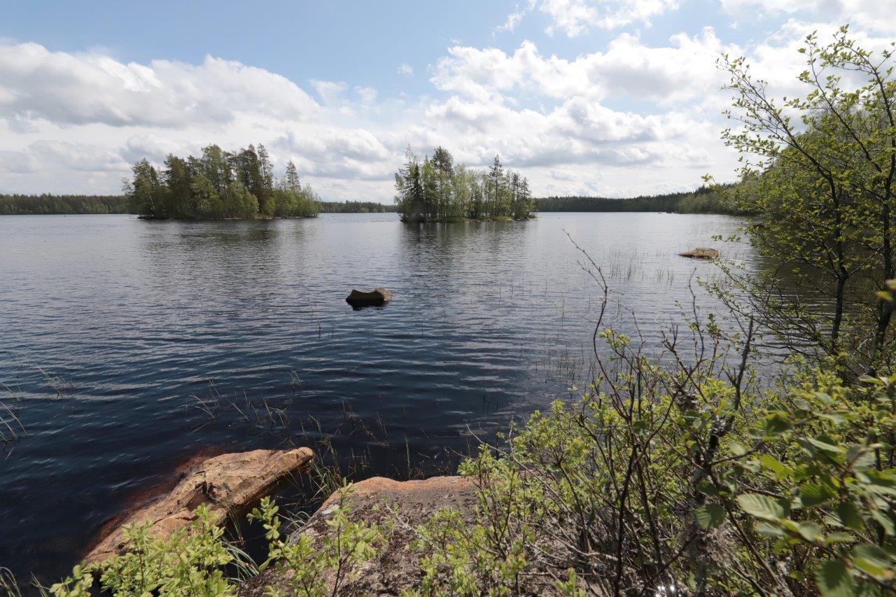 Etualan nuoret lehtipuut reunustavat kesäistä järvimaisemaa. Järvessä on kaksi saarta.