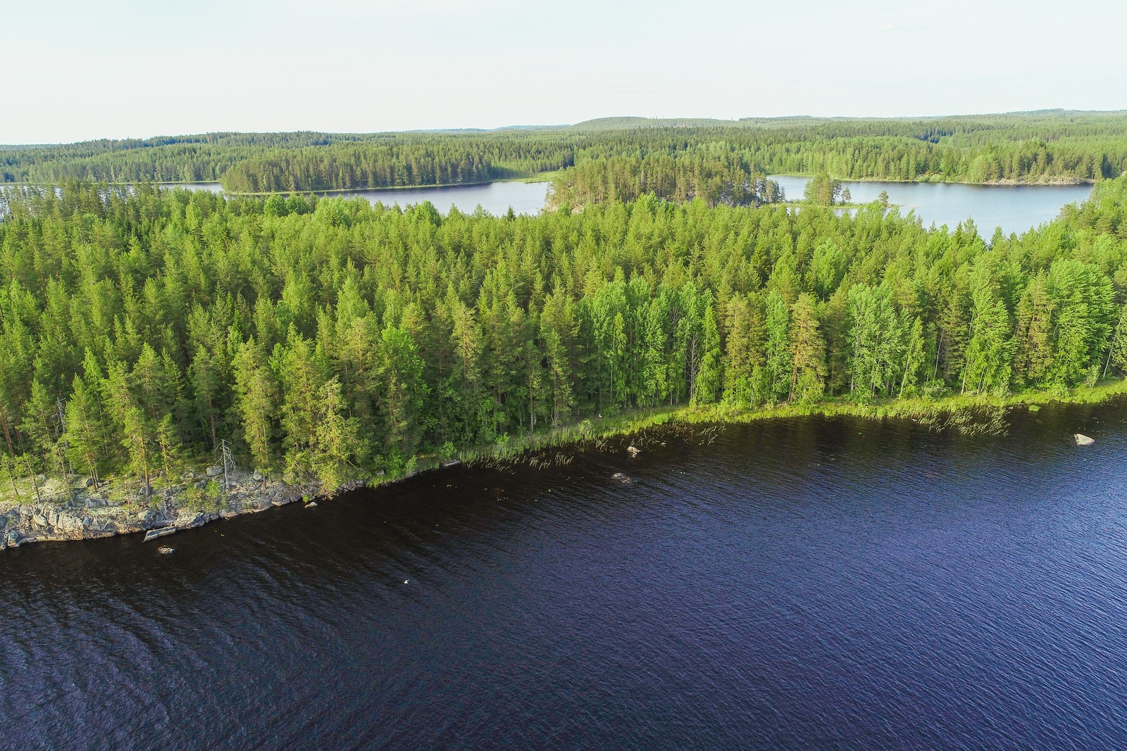 Vesistö ympäröi metsäistä saarta. Taka-alalla metsä jatkuu horisonttiin. Ilmakuva.