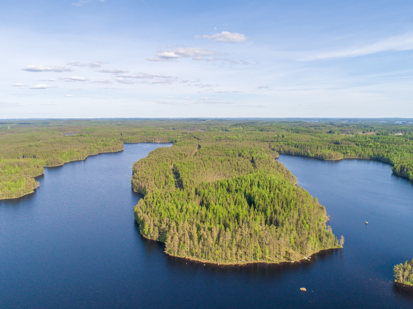 Kesämaisemassa metsien reunustama järvi jatkuu moneen eri suuntaan. Ilmakuva.