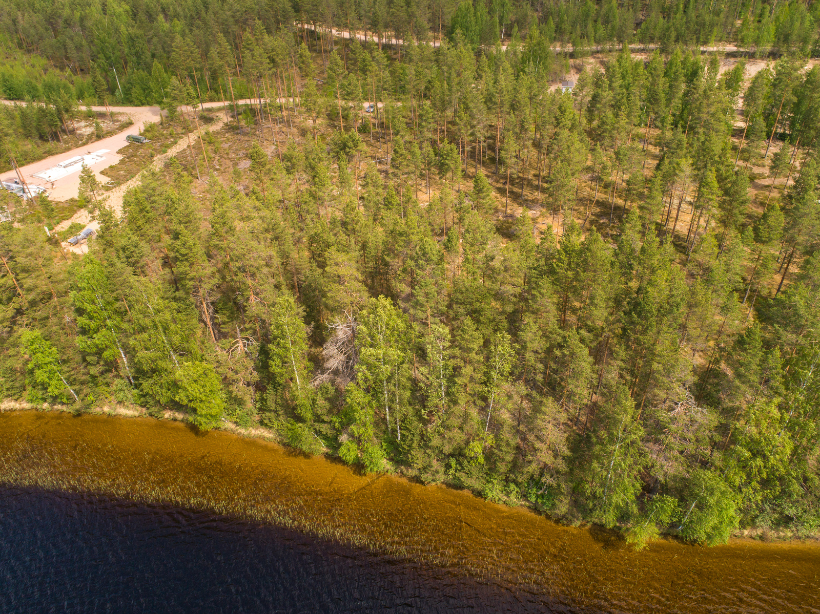 Kesäinen mäntyvaltainen metsä reunustaa järveä. Taka-alalla on rakennuksia ja tie. Ilmakuva.