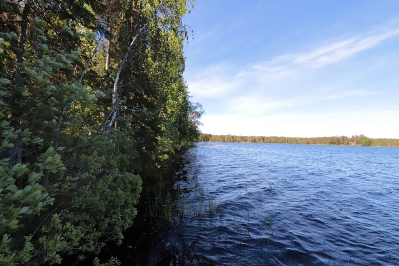 Vasemmalla sekametsä reunustaa järveä aurinkoisena kesäpäivänä.