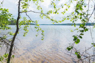 Lehtipuiden oksat reunustavat kesäistä järvimaisemaa. Kirkkaan veden läpi erottuu hiekkapohja.