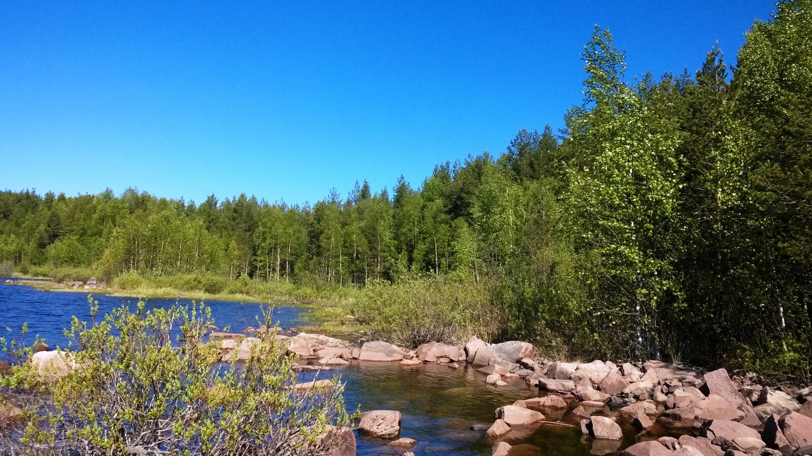 Kesämaisemassa järven kivisen rantaviivan tuntumassa kasvaa pajuja. Sekametsä reunustaa järveä.