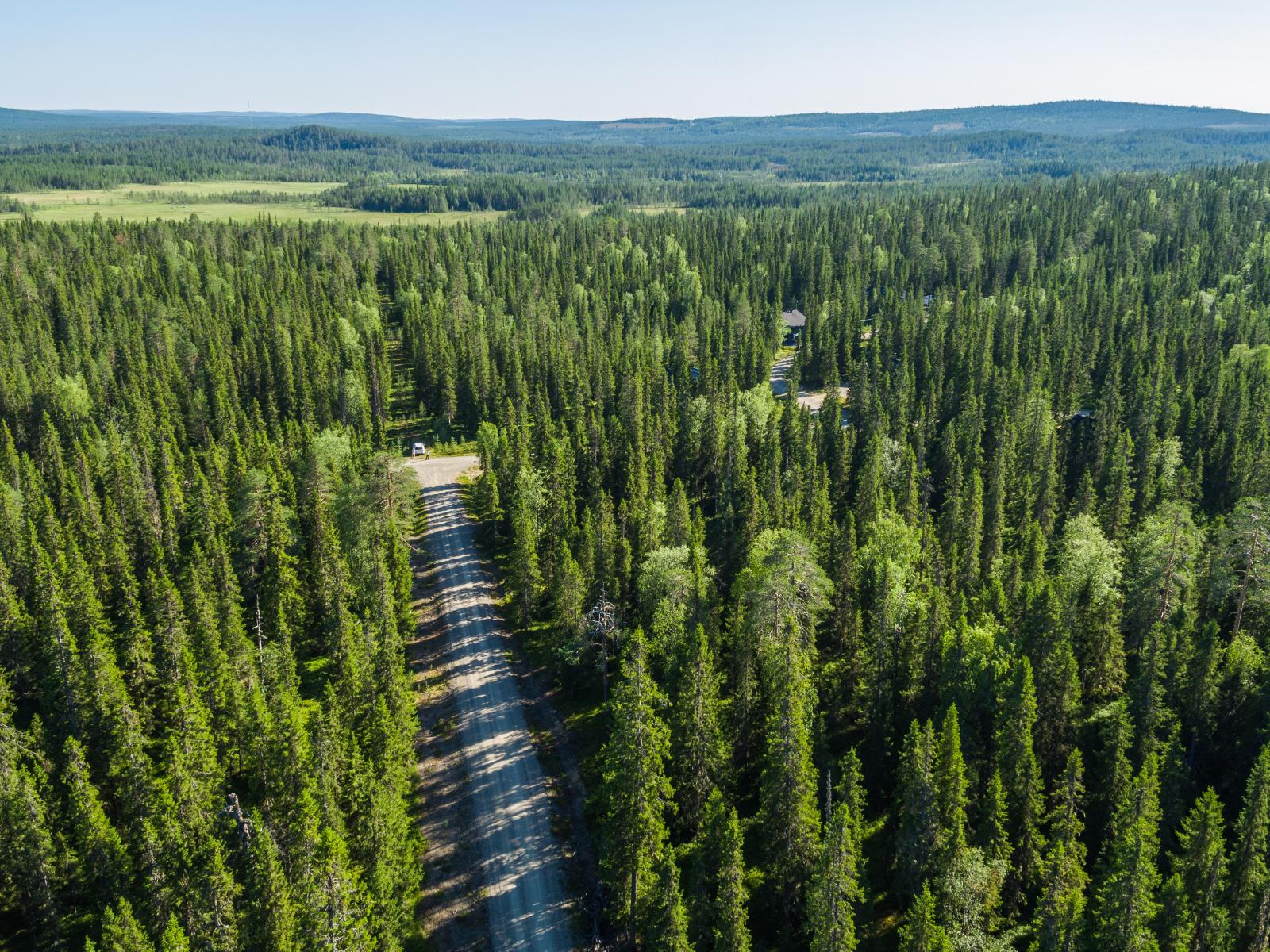 Mökkitie kulkee kesäisessä havumetsässä. Taka-alalla on suo. Ilmakuva.