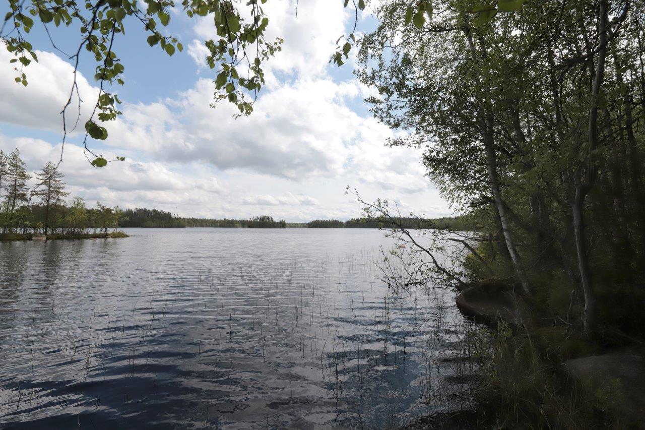 Rannassa kasvaa kesäinen sekametsä, jonka vasemmalla puolella avautuu järvimaisema.