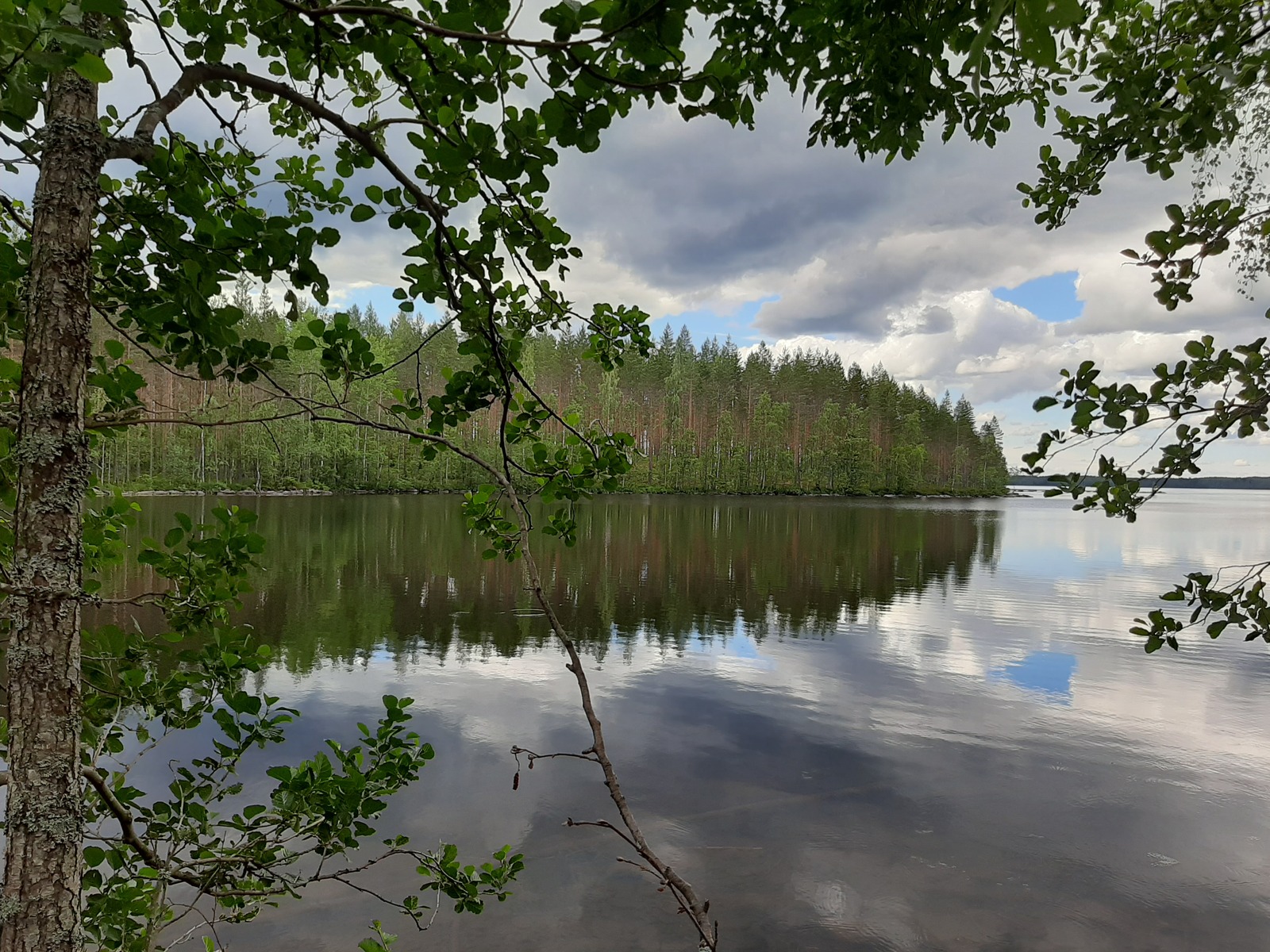 Puiden oksat reunustavat kesäistä järvimaisemaa. Puolipilvinen taivas heijastuu veteen.