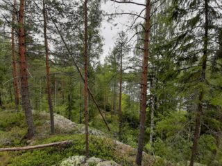 Jäkälää kasvavalta kalliolta avautuu metsämaisema ja puiden välistä pilkottaa lampi.