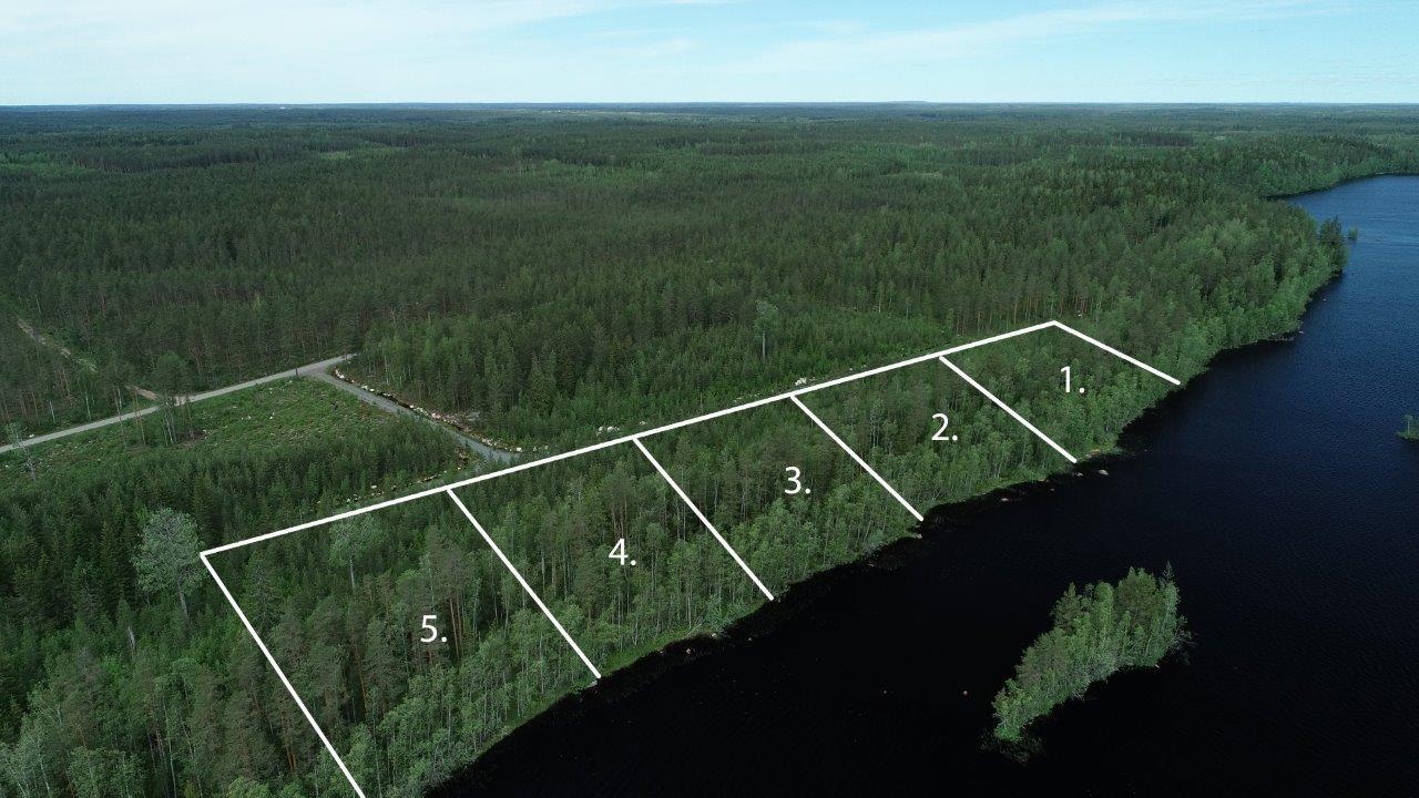 Viiden tontin kaavat piirrettynä metsään järven rantaan. Etualalla on saari. Ilmakuva.