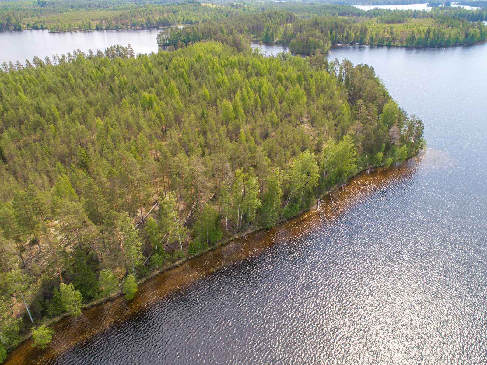 Kesäiset sekametsät reunustavat saaren ja järven rantoja. Vesi kimmeltää auringossa. Ilmakuva.