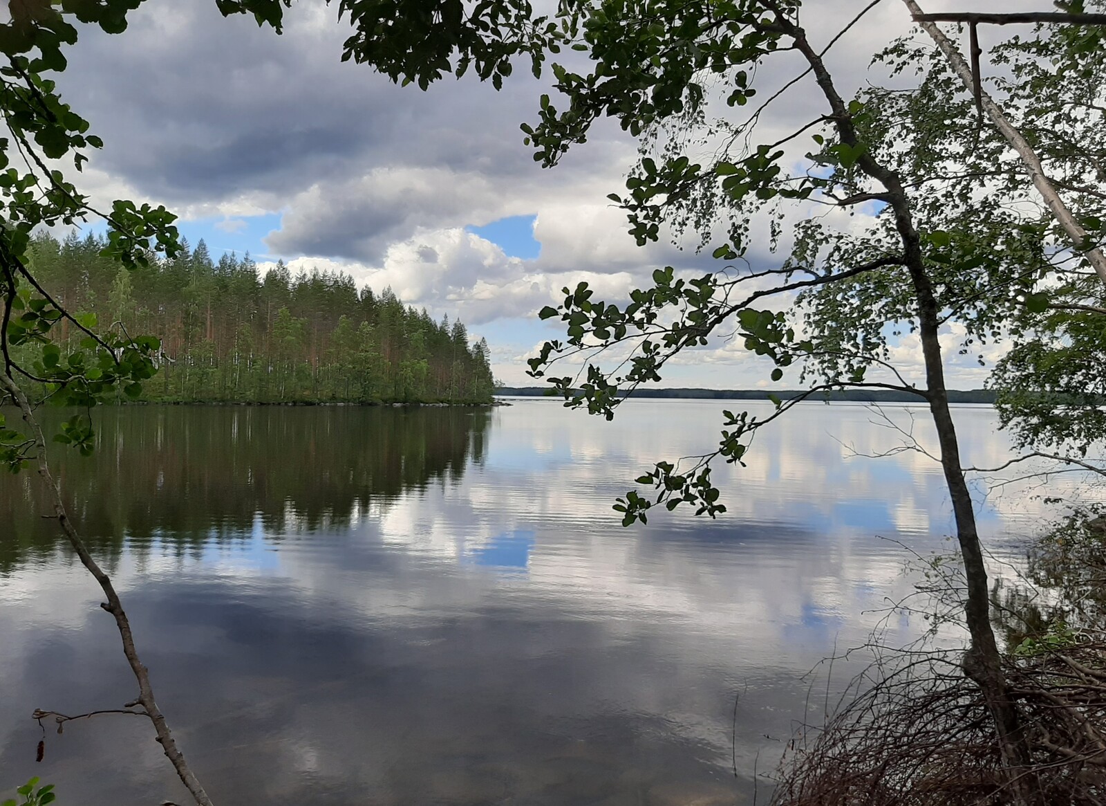 Nuoret puut reunustavat kesäistä järvimaisemaa. Puolipilvinen taivas heijastuu veteen.