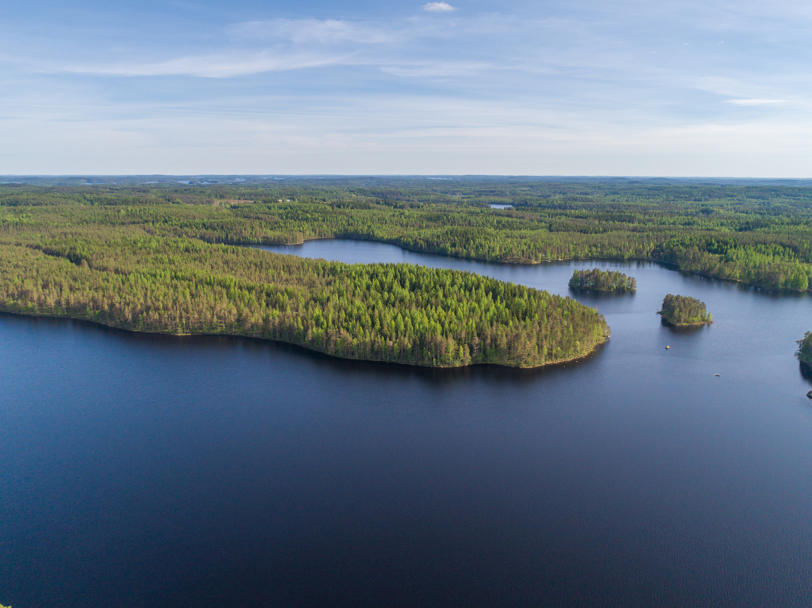 Kesämaisemassa metsien reunustamassa suuressa järvessä on metsäisiä saaria ja niemi. Ilmakuva.