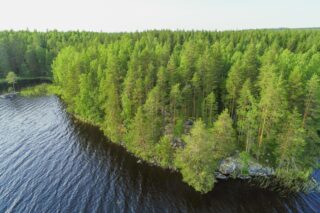 Saaressa kasvaa kesäinen sekametsä. Etualalla niemen kärjessä on rantakallio. Ilmakuva.