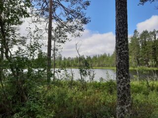 Rannassa kasvavien puiden takana avautuu kesäinen järvimaisema. Taivas on puolipilvinen.