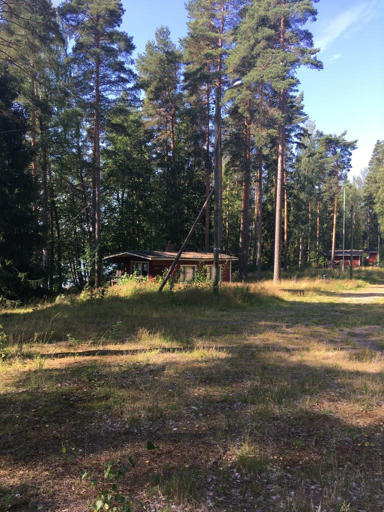 Järven rannan tuntumassa havupuiden joukossa on rakennuksia. Etualalla on puuton alue.