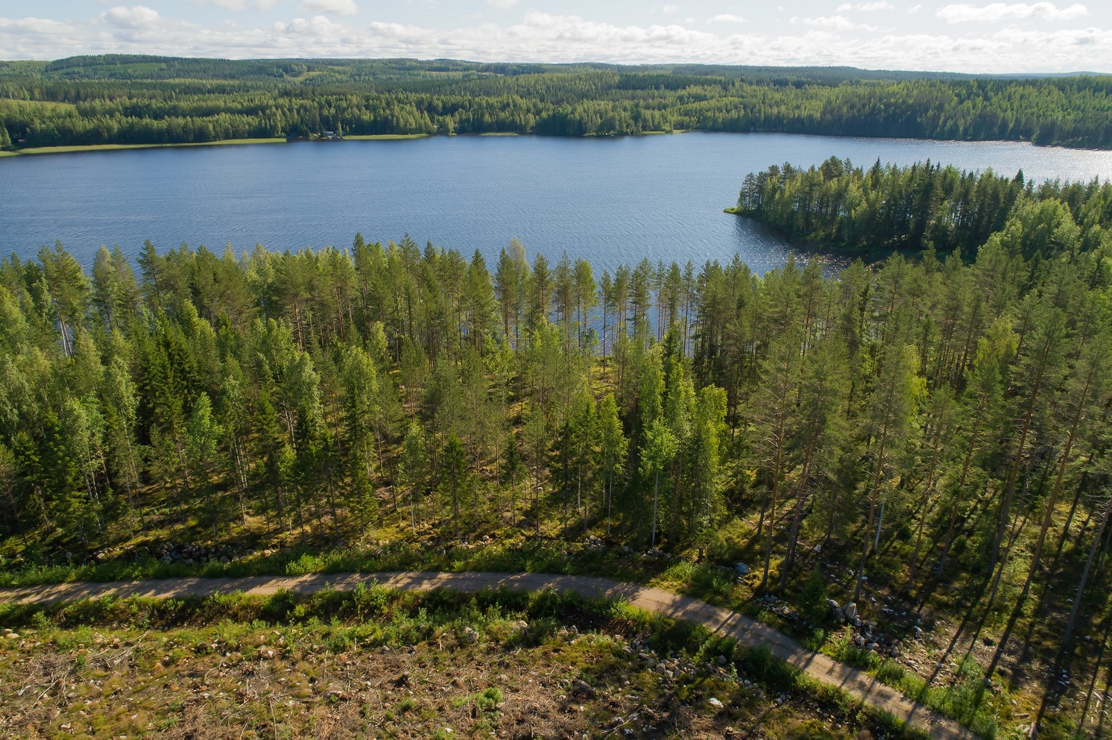 Aurinko paistaa kesäiseen sekametsään, jonka takana siintää järvi. Etualalla kulkee tie. Ilmakuva.