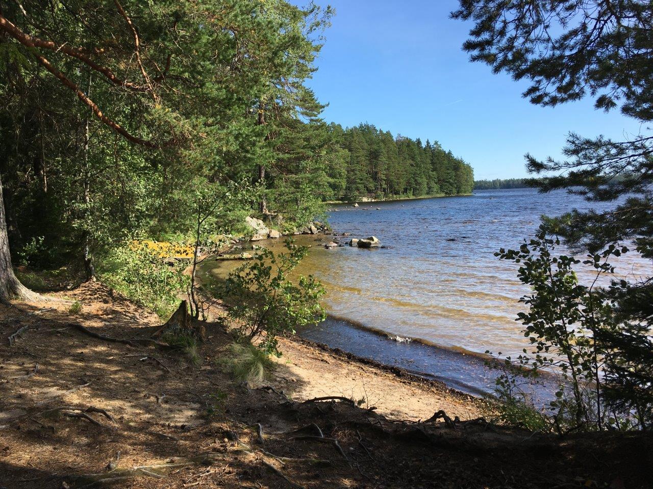 Rantatörmällä kasvavat puut reunustavat kesäistä järvimaisemaa. Etualalla on hiekkaranta.