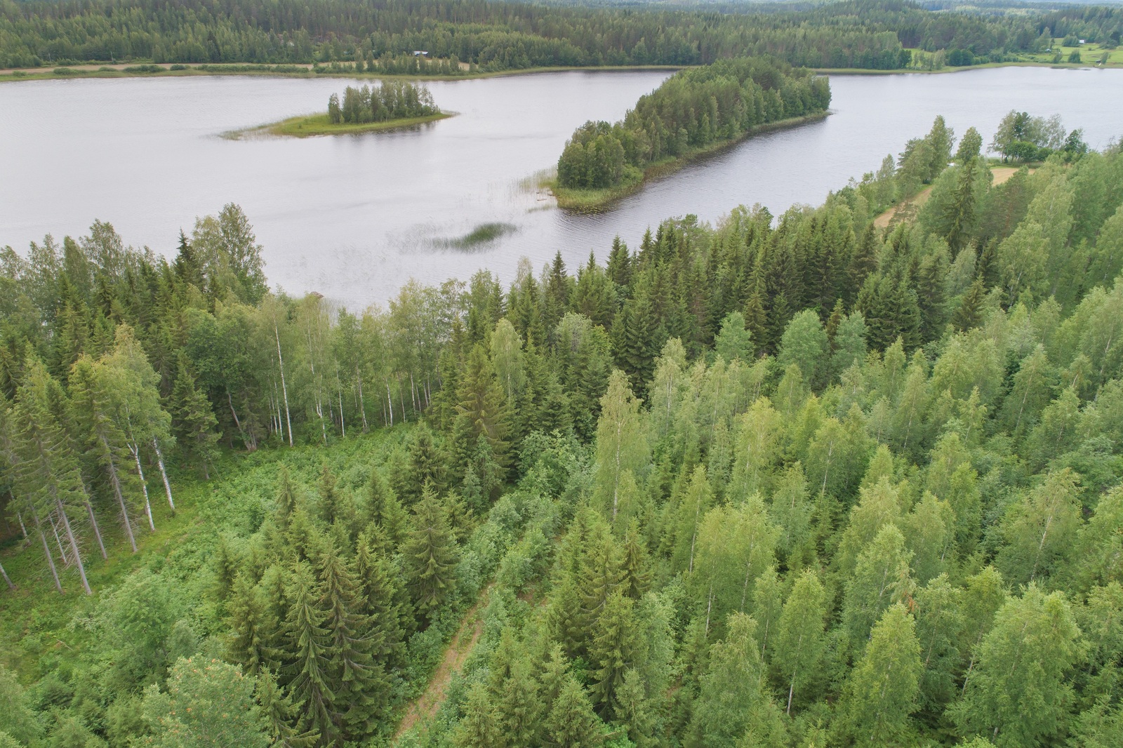 Kesäinen sekametsä reunustaa järveä molemmin puolin. Järvessä on kaksi saarta. Ilmakuva.