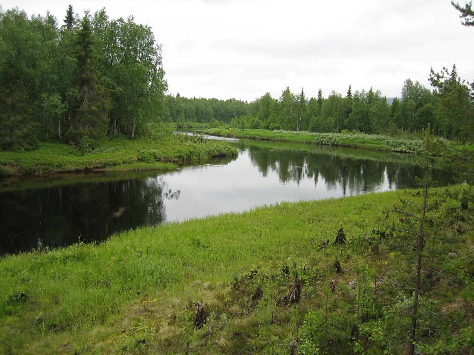 Metsän halki mutkitteleva Kemijoki.