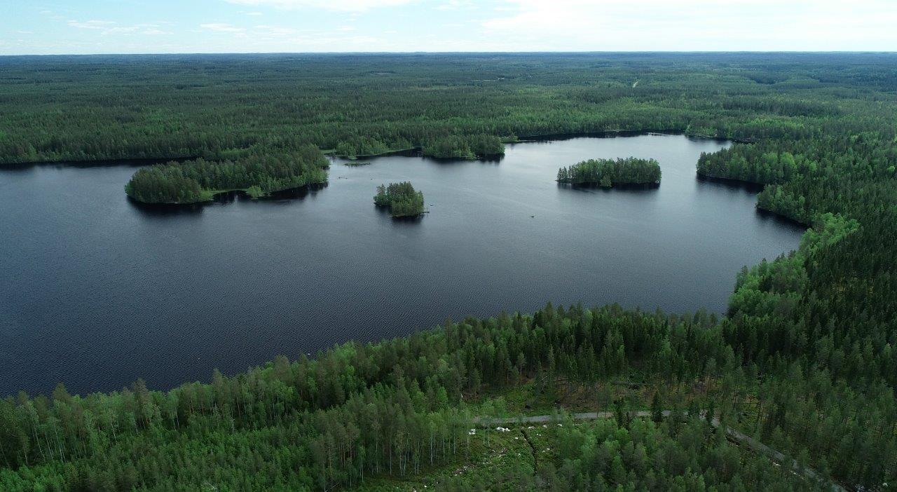 Kesämaisemassa laajat metsäalueet reunustavat järveä. Etualan metsässä kulkee tie. Ilmakuva.