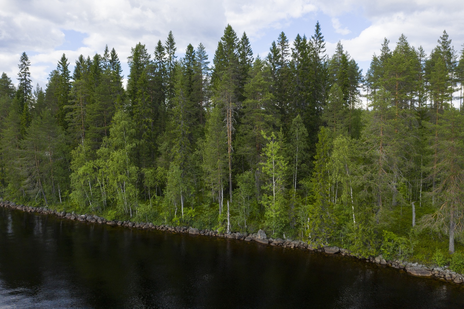 Kesäisen vehreä sekametsä reunustaa järveä. Rantaviiva on kivinen. Ilmakuva.