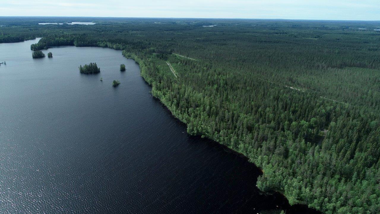 Horisonttiin jatkuva kesäinen metsä reunustaa järveä, jossa on pieniä saaria. Ilmakuva.