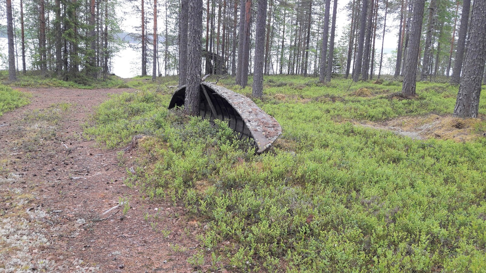 Tienpohja vie järvelle mäntymetsän läpi. Vanha vene nojaa puuta vasten.