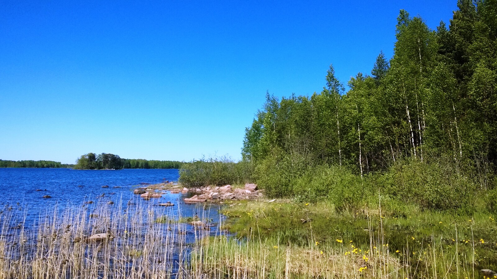 Oikean laidan sekametsä reunustaa järveä, jonka rantaviivassa on kivikkoa ja vesikasveja.