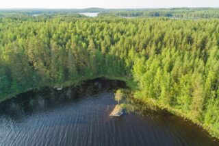 Kesäinen sekametsä reunustaa saaren poukamaa. Laaja metsäalue jatkuu horisonttiin. Ilmakuva.