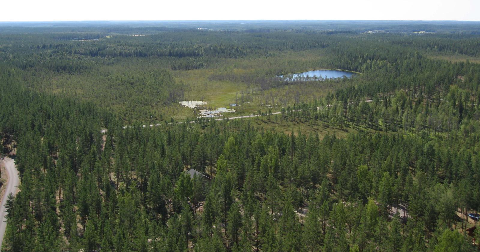 Tie kulkee kesäisten metsien ja soiden halki. Lähellä horisonttia on lampi. Ilmakuva.