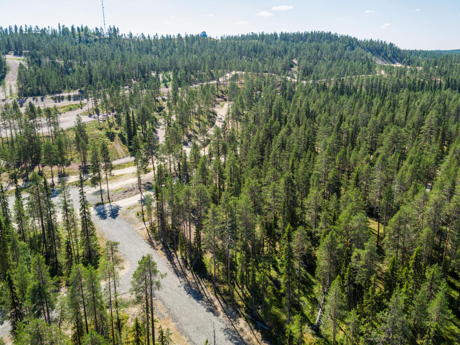 Ilmakuvassa tie-ja polku-uria risteilee havupuuvaltaisessa metsässä.