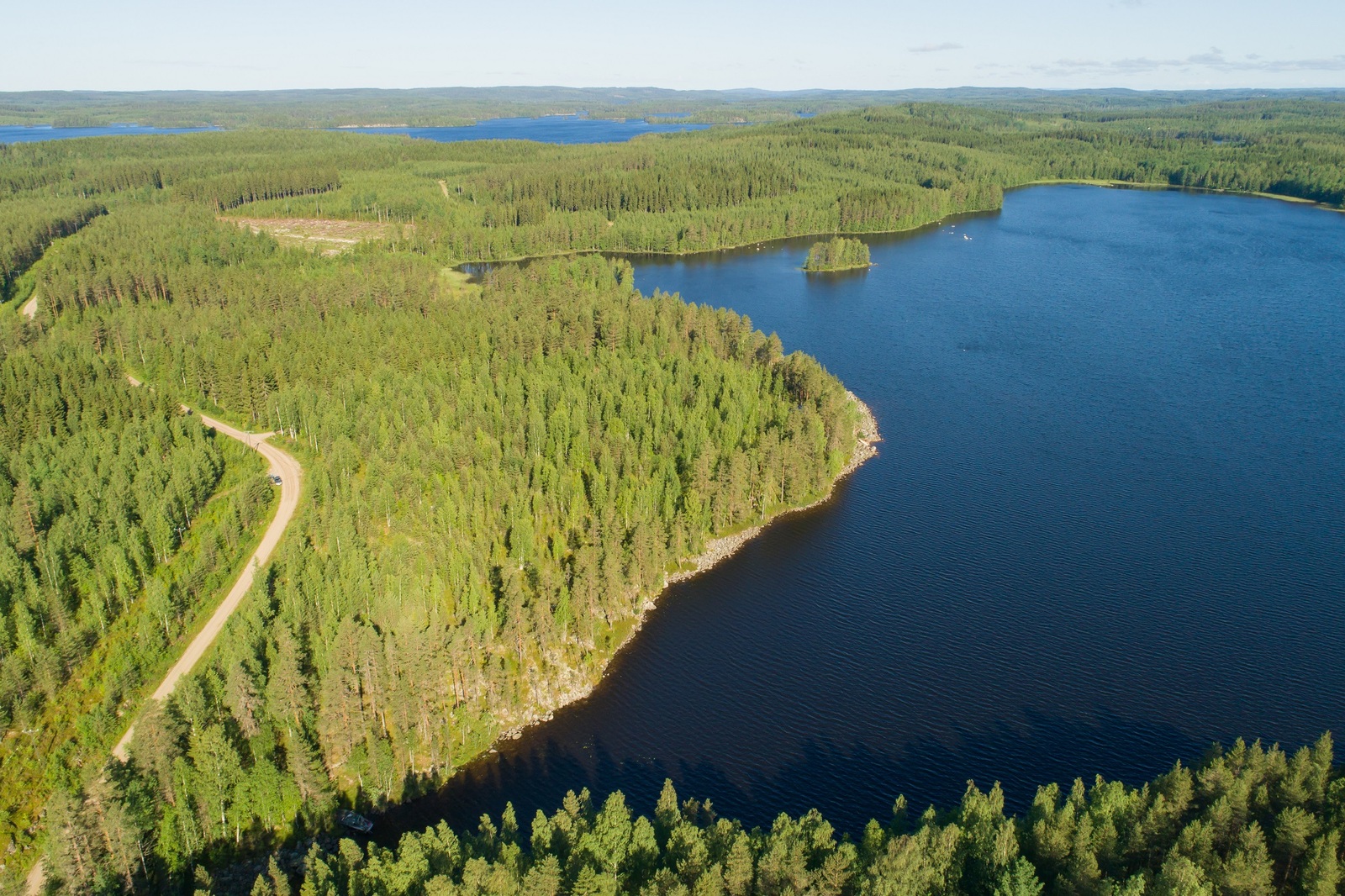 Kesäinen metsä reunustaa järveä auringonpaisteessa. Vasemmalla kulkee tie. Ilmakuva.