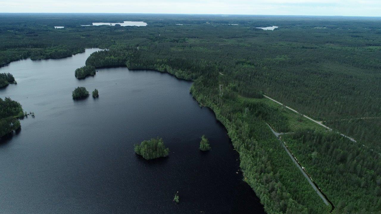 Horisonttiin jatkuva kesäinen metsä reunustaa järveä, jossa on pieniä saaria. Ilmakuva.