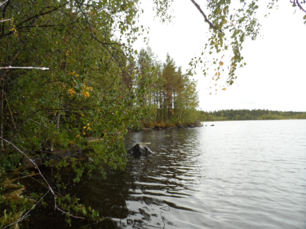 Syksyinen sekametsä reunustaa järveä oikealle kaartuvassa rantaviivassa. Rannassa on kiviä.